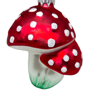 Two toadstools