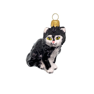 Kot